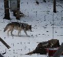 002_2009-0214-1339-08A.jpg